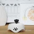 Fashionable No Spill White Ceramic Pet Feeder Bowl